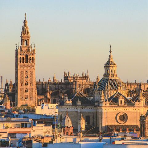 Experience the historic heart of Seville from the city centre