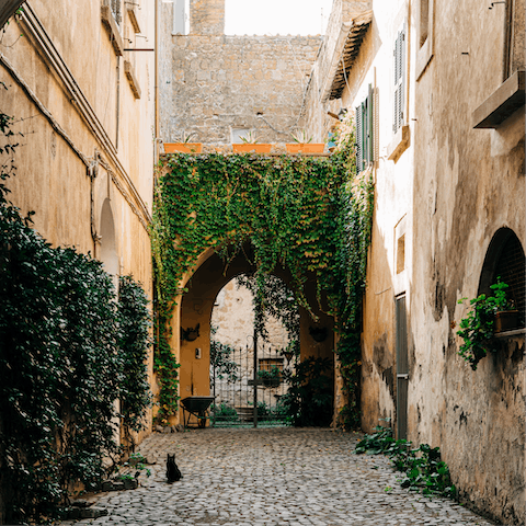 Wander the streets and try local cuisine in the charming city of Beja