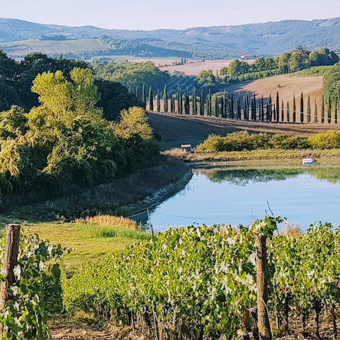 Cycle your way through the Tuscan countryside