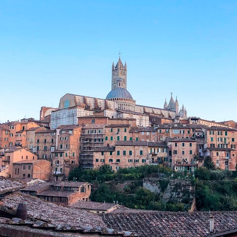 Take the scenic drive to Siena for a day of sightseeing
