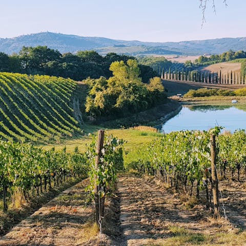 Enjoy long adventures on hiking paths around the beautiful Tuscan countryside