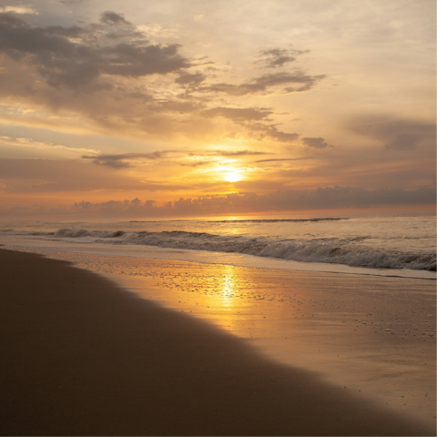 Begin your stay in the Isle of Palms with an oceanfront stroll