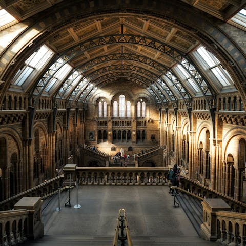 Spend a day exploring the nearby Natural History Museum