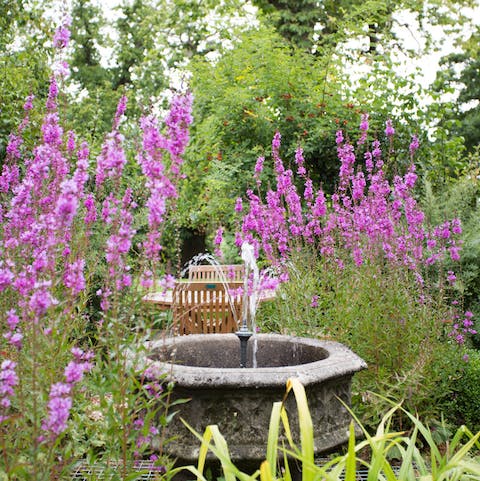 Take a stroll through the picturesque floral garden