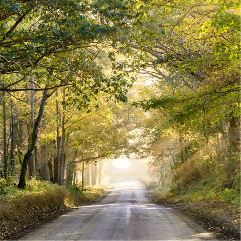 Go for long walks in the surrounding Suffolk Coast & Heaths Area of Outstanding Natural Beauty