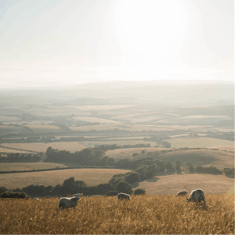 Put on your walking boots and explore the Isle of Wight’s Area of Outstanding Natural Beauty