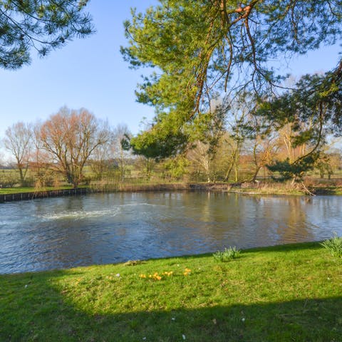 Try your hand at fishing on the pond and river