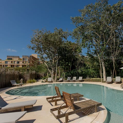 Lounge by the shared pool on a hot day
