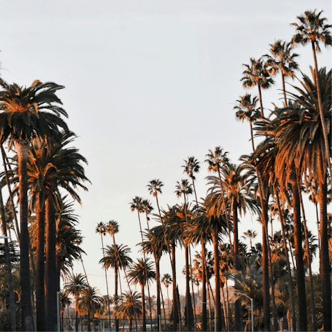 Embrace the magic of Los Angeles from Beverly Hills