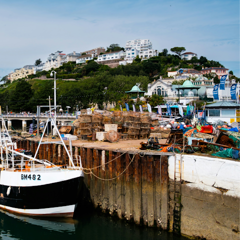 Drive to  vibrant Torquay in under 30 minutes