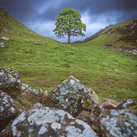 Pull on your boots and hike along Hadrian's Wall, a short walk away