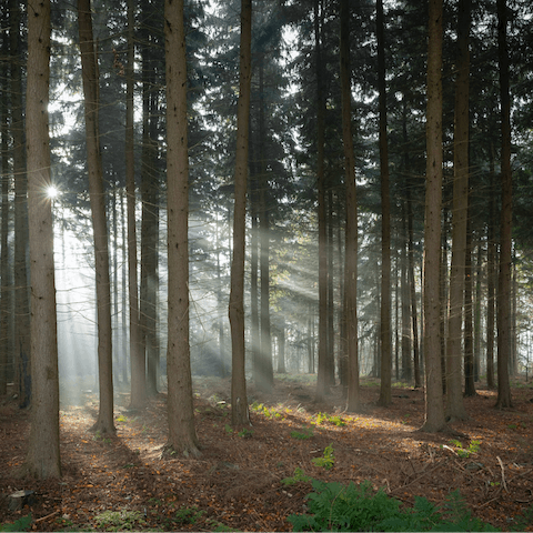 Lace up your hiking boots and hit the trails of the Lincolnshire Wolds on your doorstep