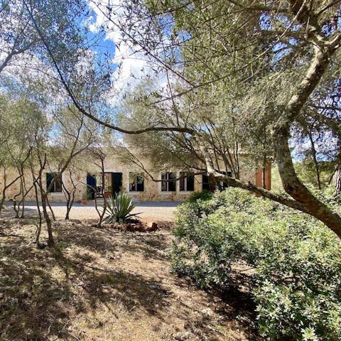 Discover a peaceful sanctuary nestled amongst the trees of eastern Mallorca