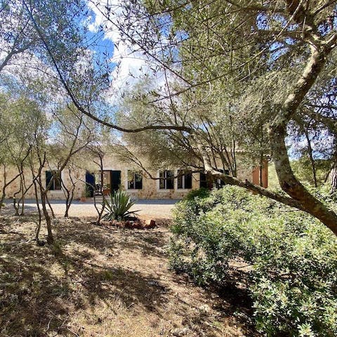 Discover a peaceful sanctuary nestled amongst the trees of eastern Mallorca