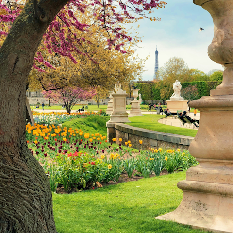 Stroll around Jardin des Tuileries, fifteen-minute walk away