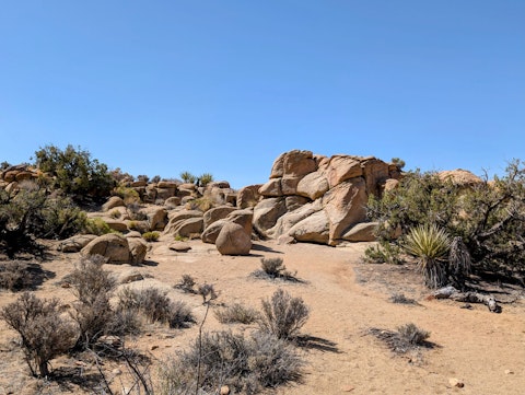 Tackle sun-baked desert trails winding through the Coachella Valley wilderness