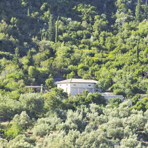 Stay on this remote hillside with no near neighbours