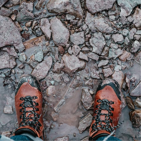 Walk along Blockley Brook and into Dovedale Woods – there are plenty of great walks here
