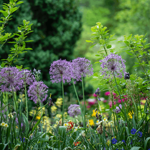 Visit the Jardins de la Muette, just a ten-minute stroll from your home