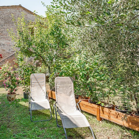 Find a sunny spot to relax in the garden