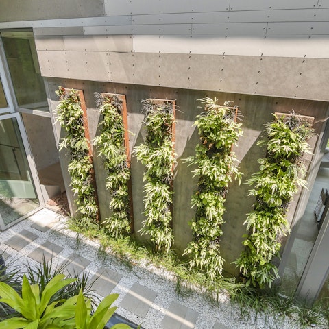 Contemplate away in the internal zen garden