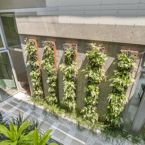 Contemplate away in the internal zen garden