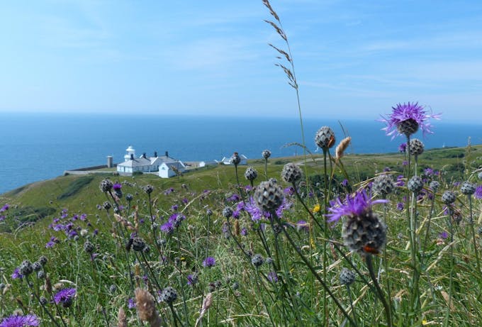 Postcard from the Lighthouse