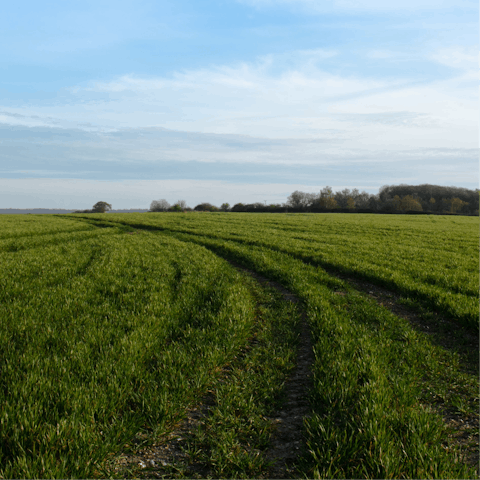 Don your hiking boots and explore the Kent Downs Area of Outstanding Natural Beauty