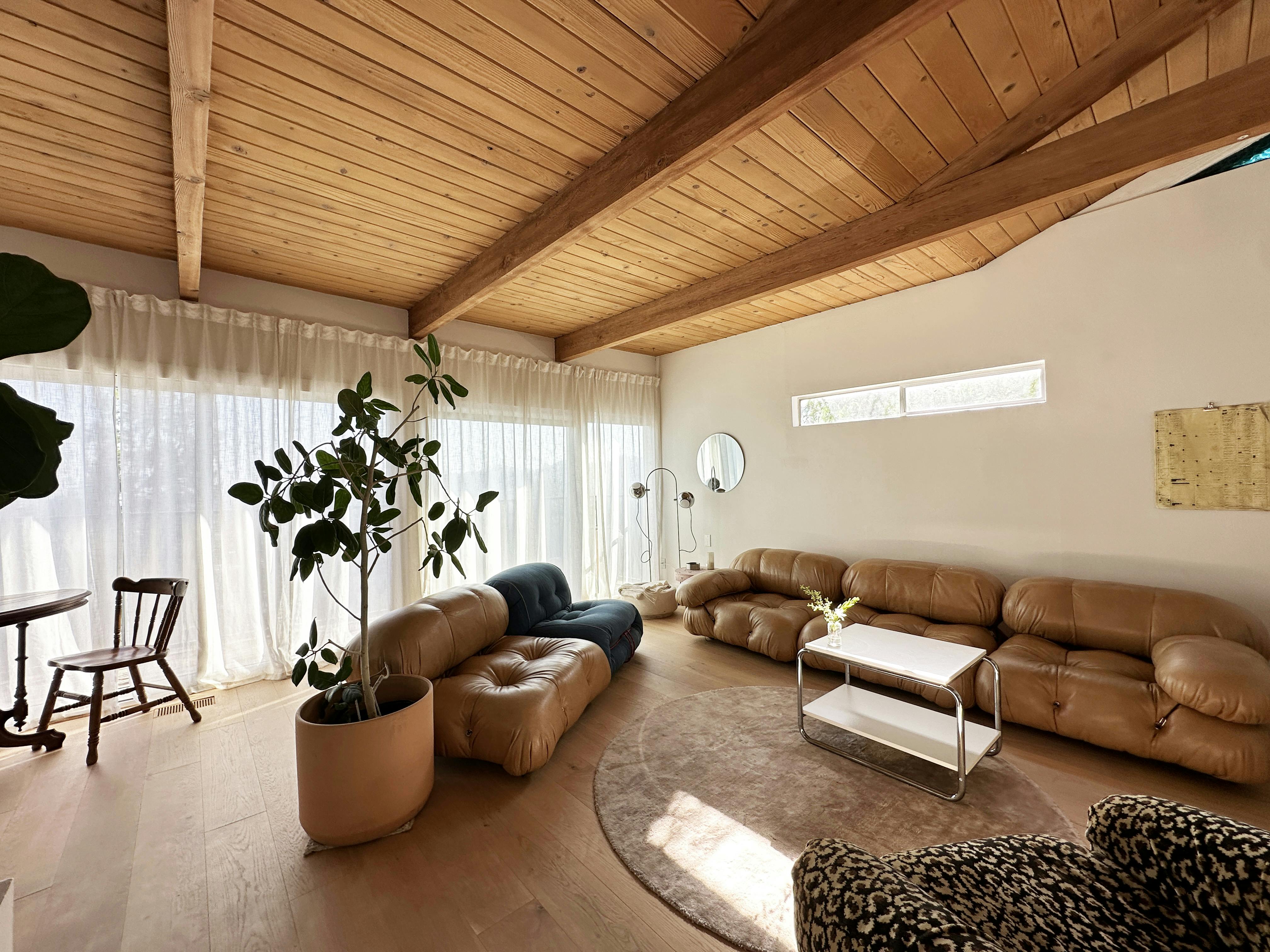 The California Dreamin