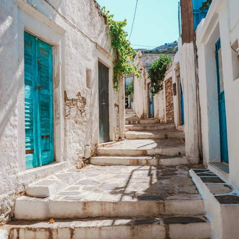 Drive twenty-five minutes to the centre of Naxos for meze