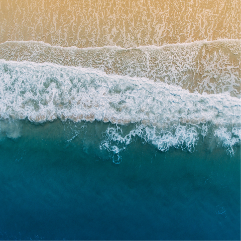 Dive into the ocean waters at nearby Mission Beach
