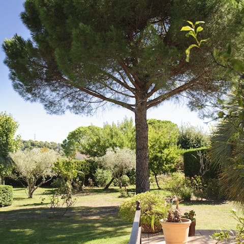 Enjoy shady picnics in the established, enclosed gardens