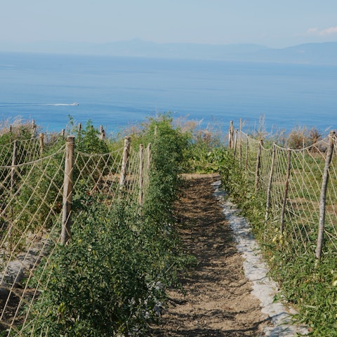 Stroll through the private gardens