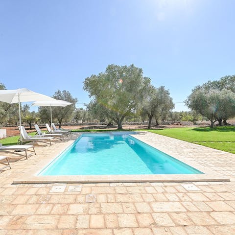 Make morning laps of the pool part of the new routine