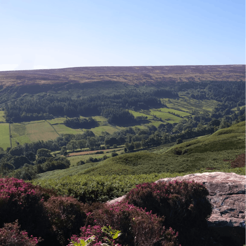 Stay near the market town of Thirsk