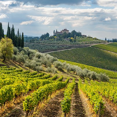 Visit the hilltop town of Radda, just 5km away