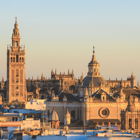 Explore iconic sights across the heart of Seville