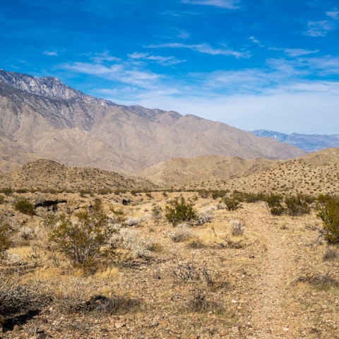 Take the thirty-minute drive out to the incredible Indian Canyons