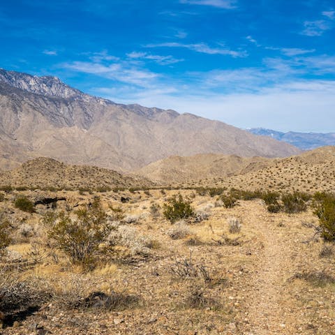 Take the thirty-minute drive out to the incredible Indian Canyons