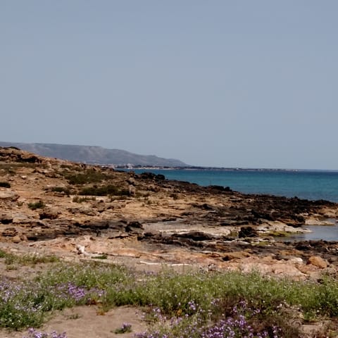 Explore the Vendicari Nature Reserve that backs onto your home