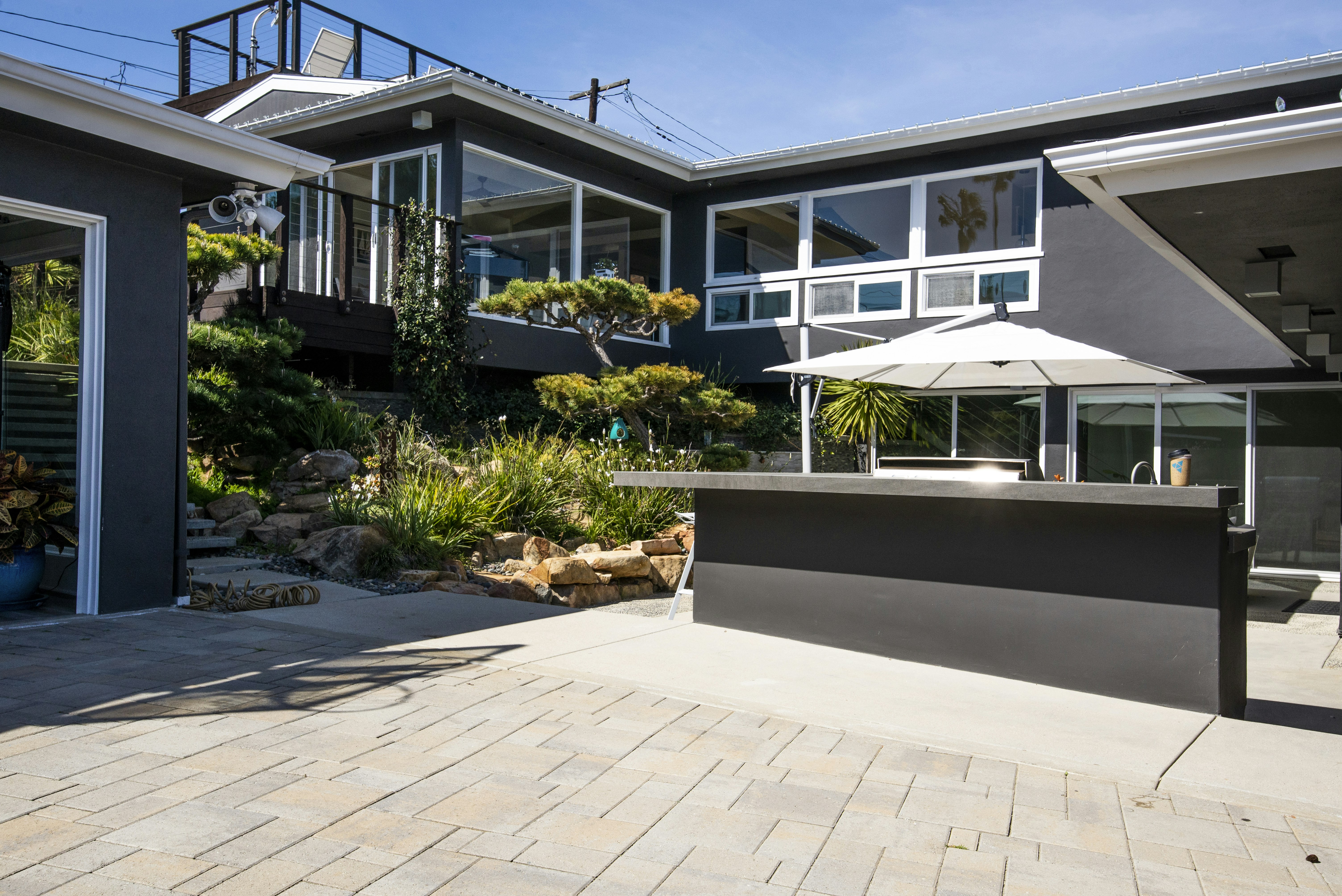 Sugar for Hummingbirds