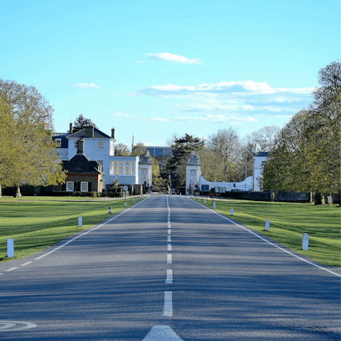 Visit nearby Bushy Park, where you can wander through the Upper Lodge Water Gardens