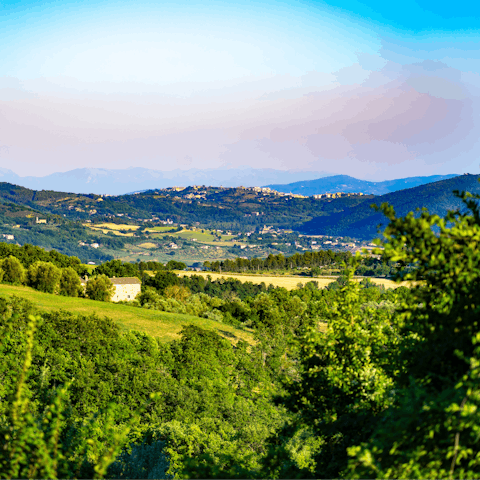 Explore the surrounding Umbrian and Tuscan countryside – there are lots of vineyards to discover
