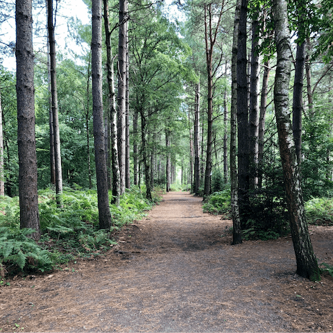 Explore the woodland trails and cycling routes of the South Downs from your doorstep