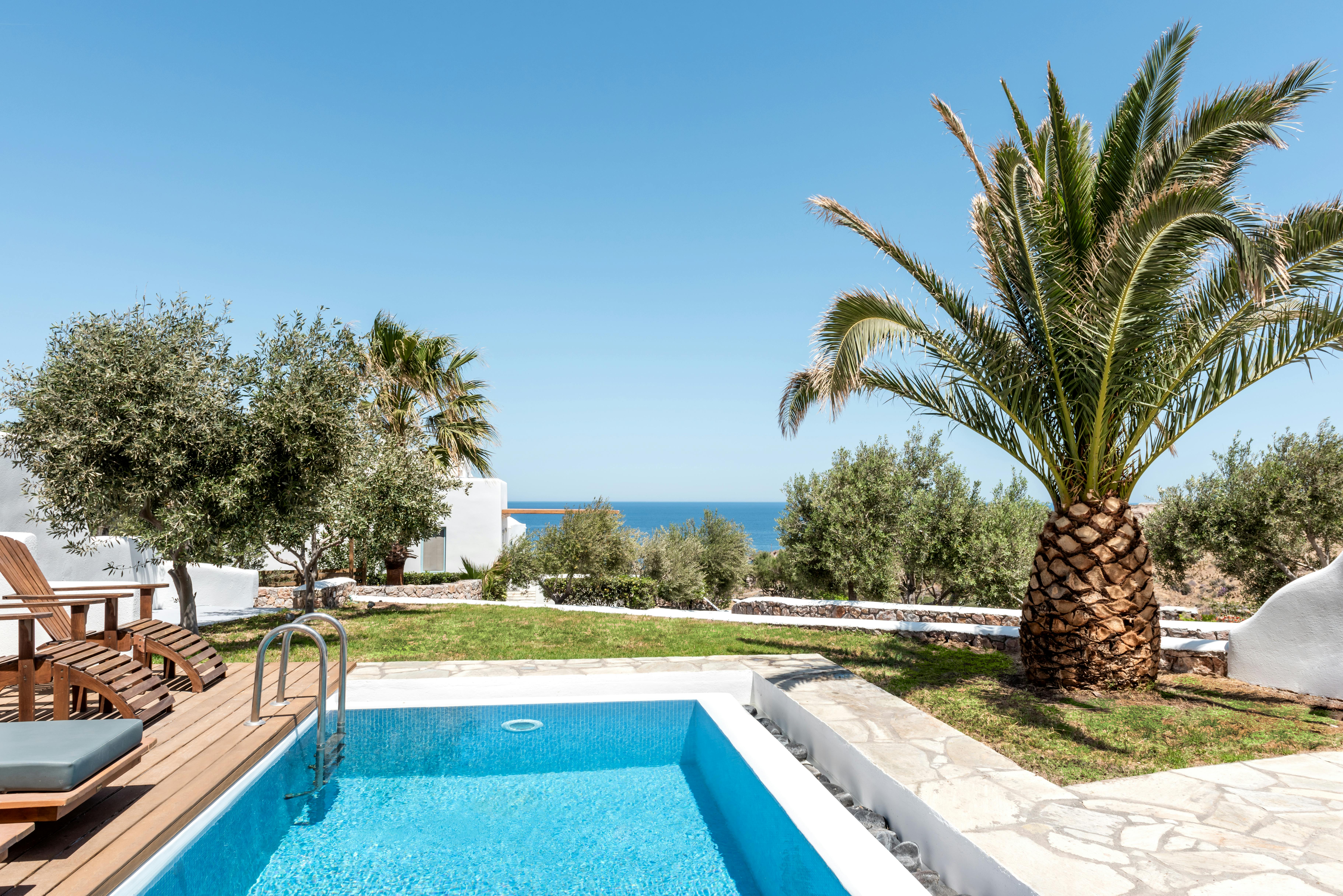 Olive Fields & Old Coasts