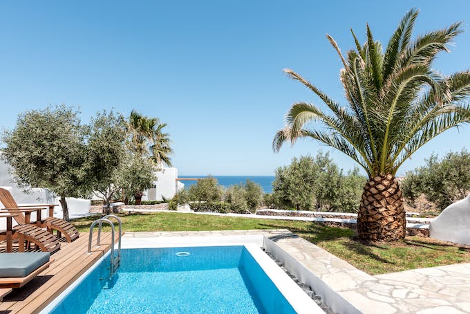 Olive Fields & Old Coasts