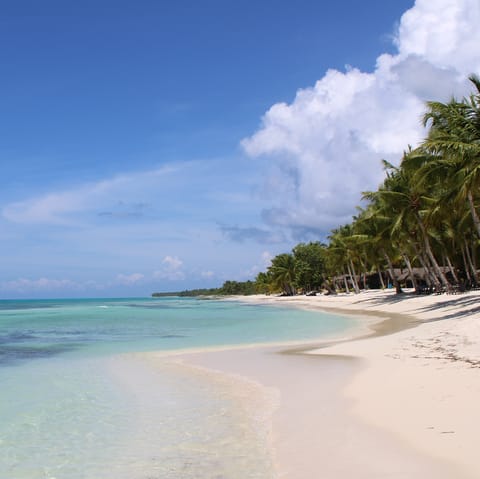 Try your hand at windsurfing in the crystal-clear waters