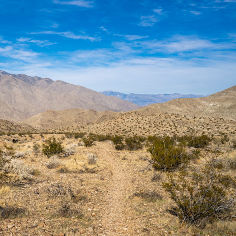 Discover the hiking trails of Palm Desert