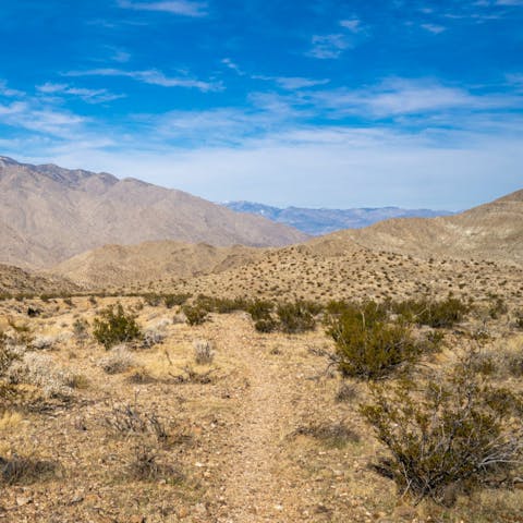 Discover the hiking trails of Palm Desert