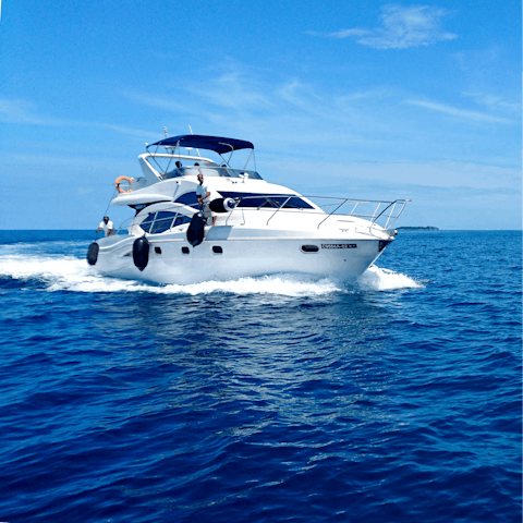 Arrange a yacht trip with your host